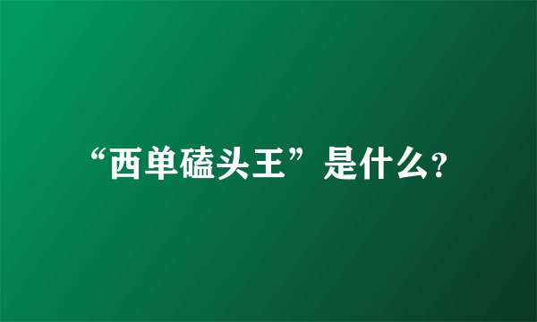 “西单磕头王”是什么？