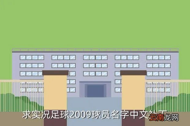 实况足球2013中文名字补丁,为什么实况足球2013解压后找不到注册表
