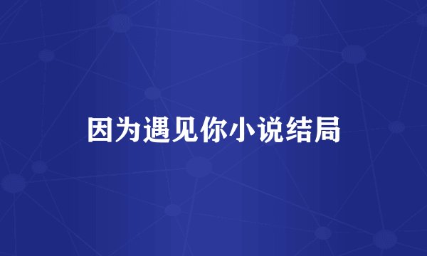 因为遇见你小说结局