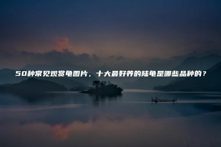 50种常见观赏龟图片,十大最好养的陆龟是哪些品种的?