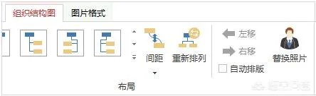 四年级家谱图怎么画?