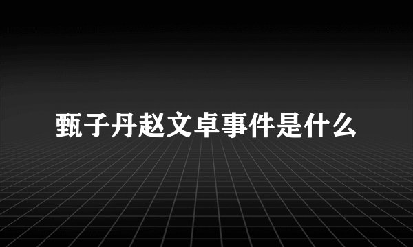 甄子丹赵文卓事件是什么