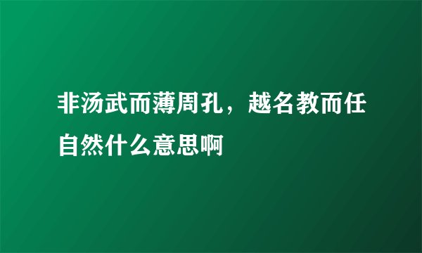 非汤武而薄周孔，越名教而任自然什么意思啊