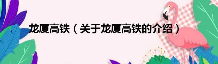 龙厦高铁（关于龙厦高铁的介绍）