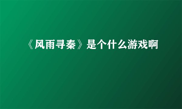 《风雨寻秦》是个什么游戏啊