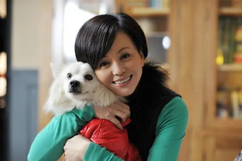 王琳方磊终止约会,两人之间有爱情吗?