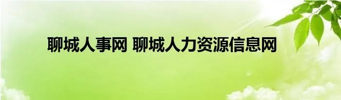 聊城人事网 聊城人力资源信息网