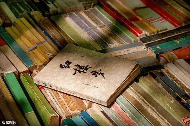 太子妃和皇上在树上玩耍他们不在乎风言风语