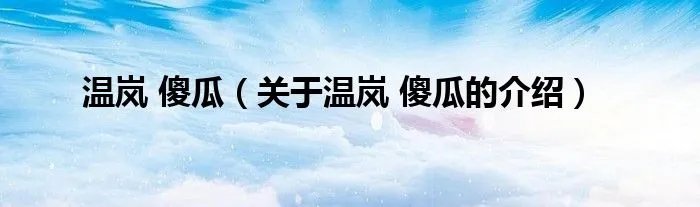 温岚 傻瓜（关于温岚 傻瓜的介绍）