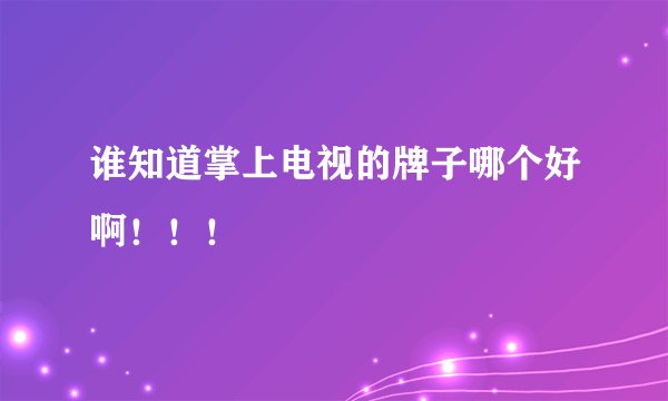 谁知道掌上电视的牌子哪个好啊!!!
