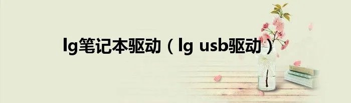 lg笔记本驱动(lg usb驱动)