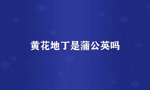 黄花地丁是蒲公英吗
