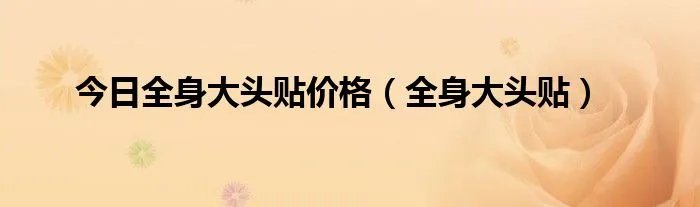 今日全身大头贴价格（全身大头贴）
