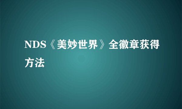 NDS《美妙世界》全徽章获得方法