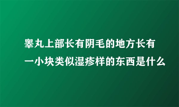 睾丸上部长有阴毛的地方长有一小块类似湿疹样的东西是什么
