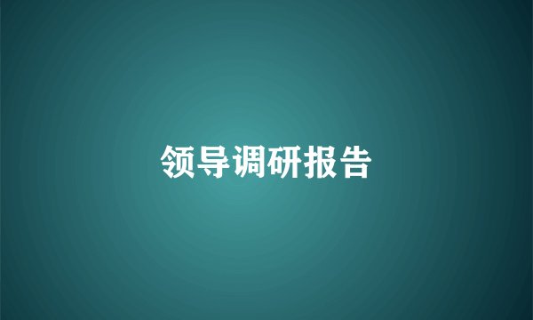 领导调研报告
