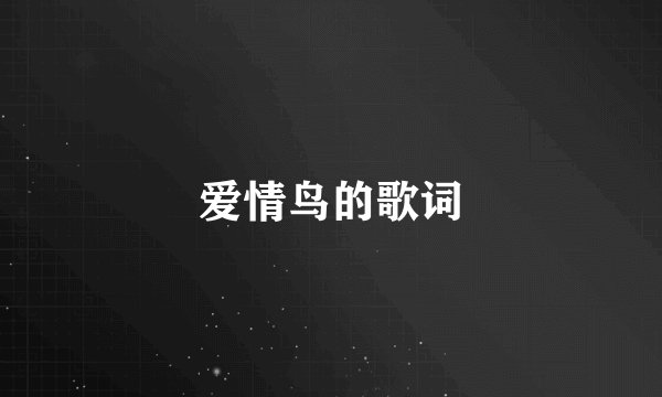 爱情鸟的歌词