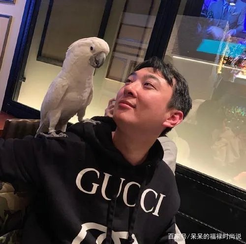 王思聪春节在三亚吃大鹅,还跟老板豪爽碰杯,你怎么看?