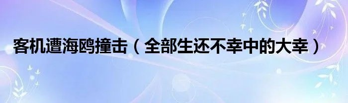 客机遭海鸥撞击（全部生还不幸中的大幸）