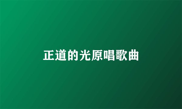 正道的光原唱歌曲