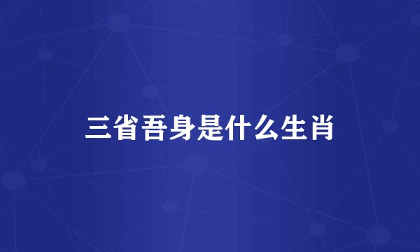 三省吾身是什么生肖
