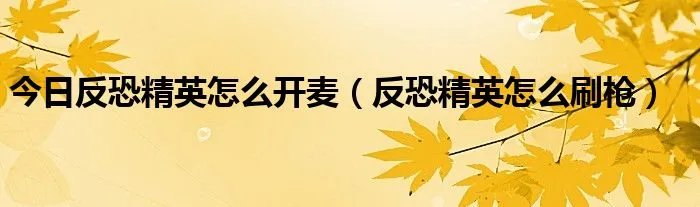 今日反恐精英怎么开麦（反恐精英怎么刷枪）