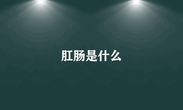 肛肠是什么