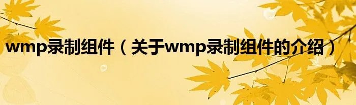 wmp录制组件（关于wmp录制组件的介绍）