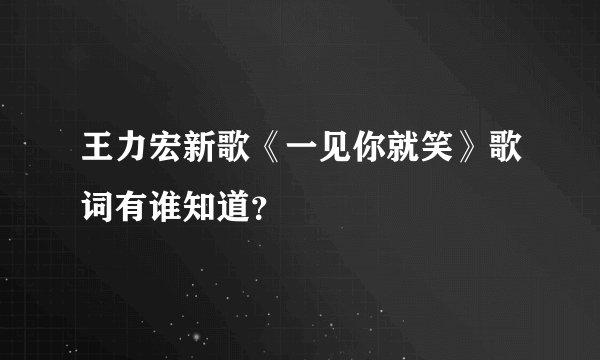 王力宏新歌《一见你就笑》歌词有谁知道？