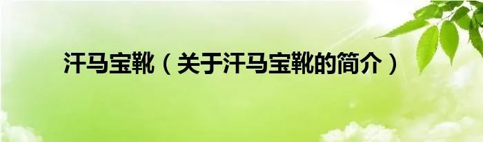 汗马宝靴（关于汗马宝靴的简介）
