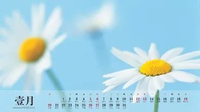 2014年3月日历壁纸|2014年3月日历壁纸桌面