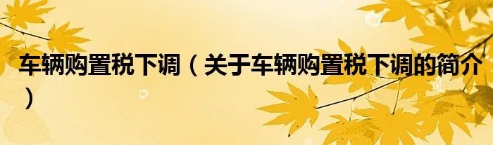 车辆购置税下调(关于车辆购置税下调的简介)