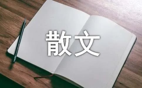 爱,写给我们的散文
