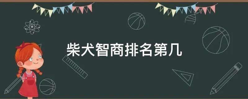 柴犬智商排名第几