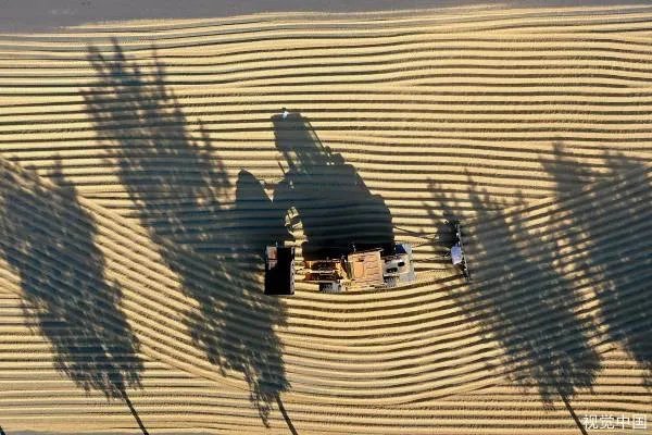 世界多国禁止粮食出口!他们究竟在担心什么呢?
