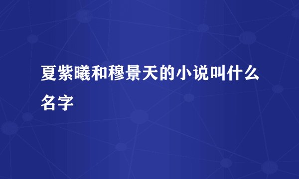 夏紫曦和穆景天的小说叫什么名字