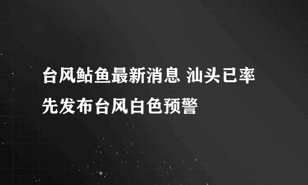 台风鲇鱼最新消息 汕头已率先发布台风白色预警