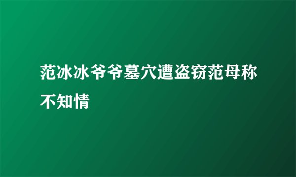 范冰冰爷爷墓穴遭盗窃范母称不知情