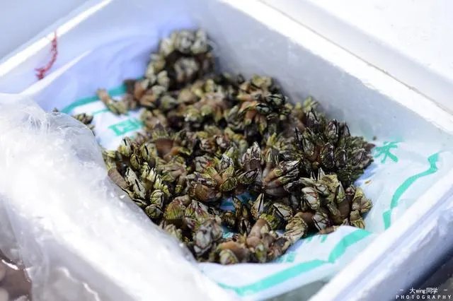 珠海东澳岛好玩吗?景色怎么样?