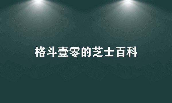 格斗壹零的芝士百科