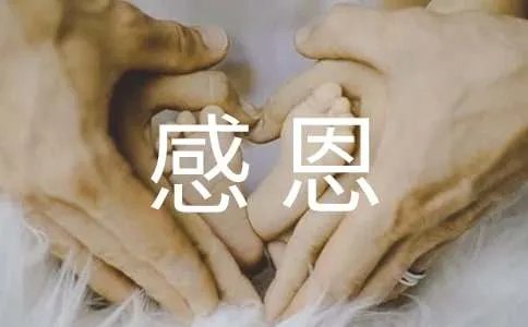 感恩父母的作文