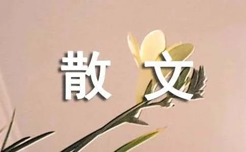爱的最真体现散文
