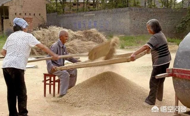 麦子折秤