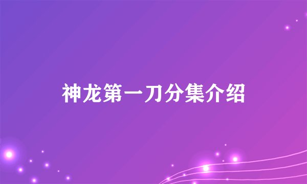神龙第一刀分集介绍