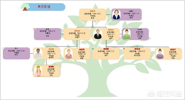 四年级家谱图怎么画?