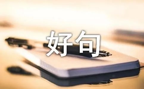 描写人物动作的好句好段