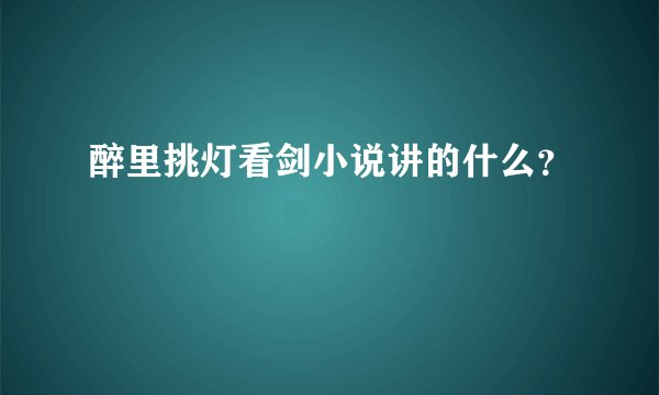 醉里挑灯看剑小说讲的什么？