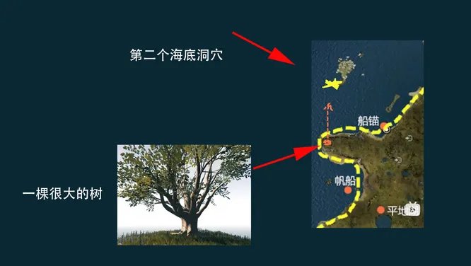森林水下洞穴在哪？