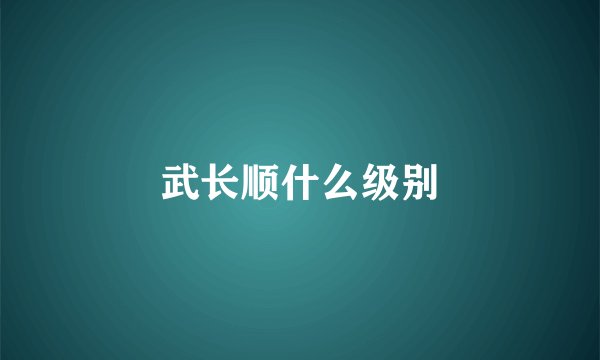 武长顺什么级别