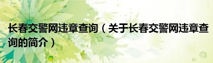 长春交警网违章查询（关于长春交警网违章查询的简介）
